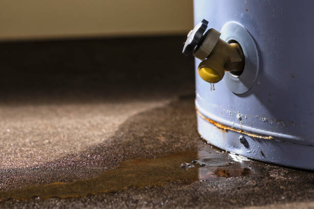 Best Water damage mitigation services  in Sophia, WV