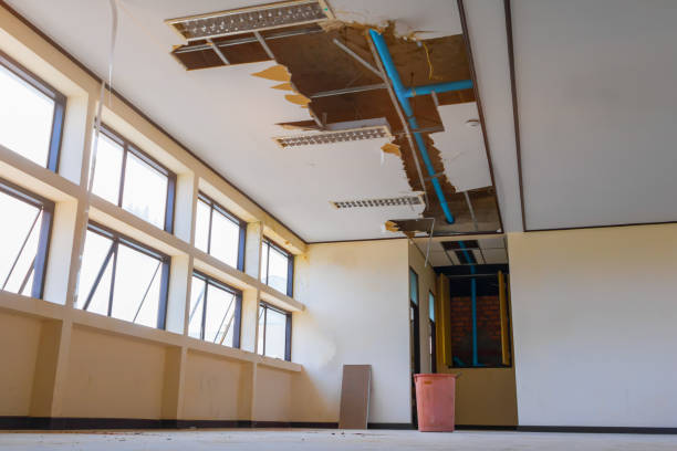 Best Mold removal after water damage  in Sophia, WV