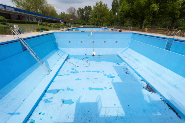 Best Carpet water damage restoration  in Sophia, WV