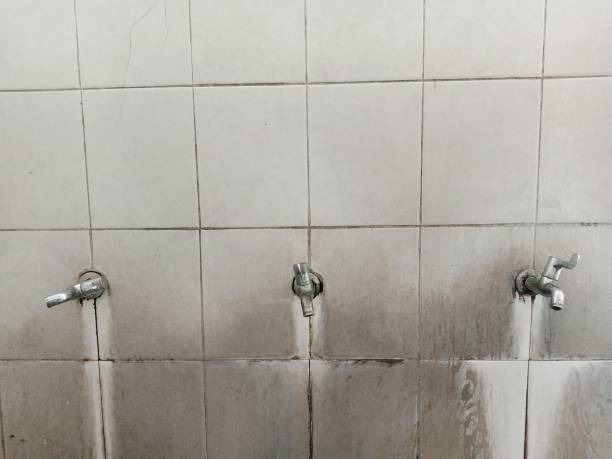Best Water damage restoration experts  in Sophia, WV
