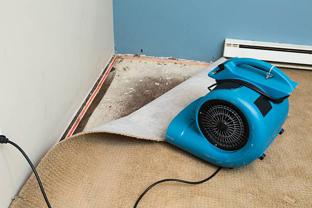 Fire Damage Restoration in Sophia, WV